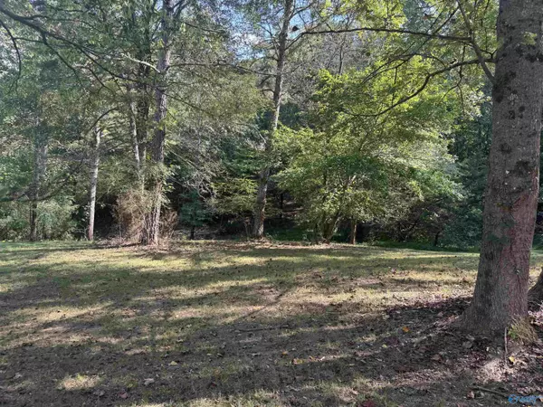 Gaylesville, AL 35960,94 County Road 836