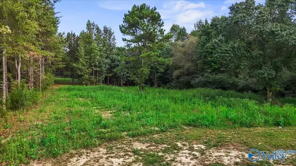 Crossville, AL 35962,15682 Highway 68