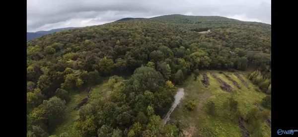 Owens Cross Roads, AL 35763,381 Caldwell Lane