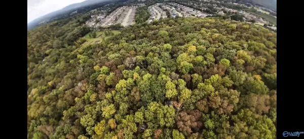 Owens Cross Roads, AL 35763,381 Caldwell Lane