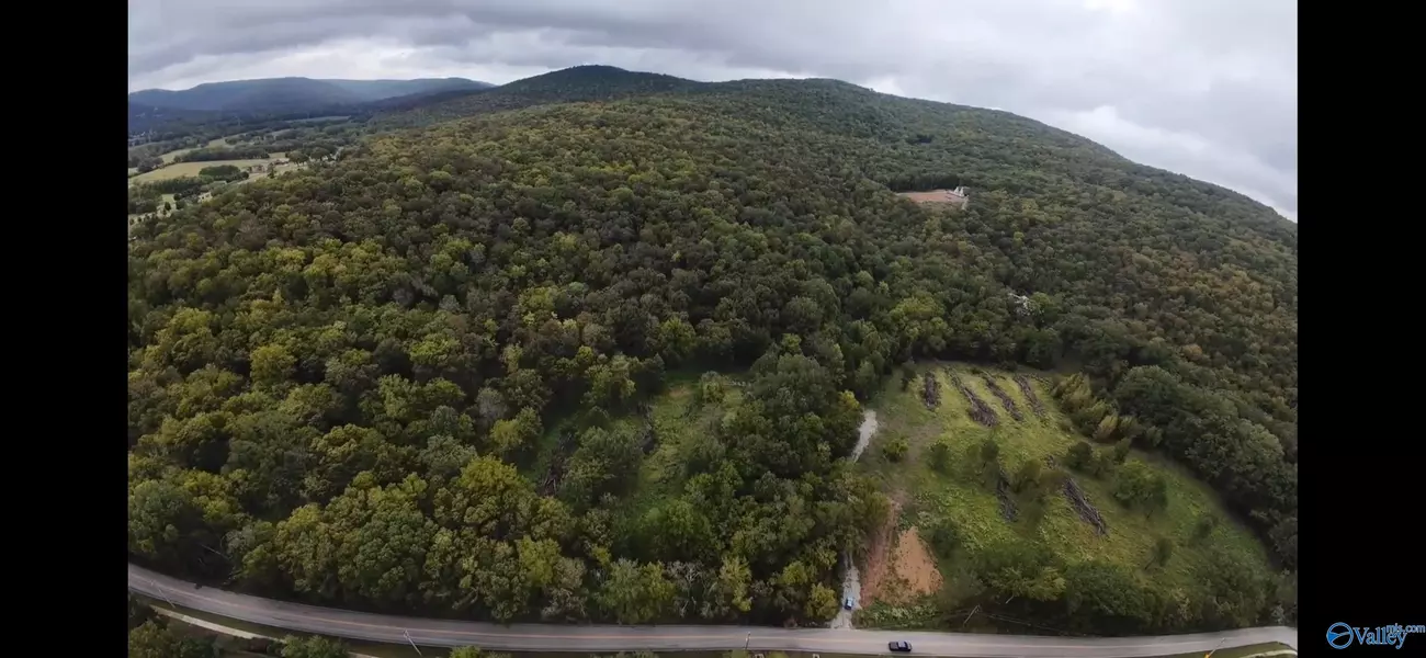 381 Caldwell Lane, Owens Cross Roads, AL 35763