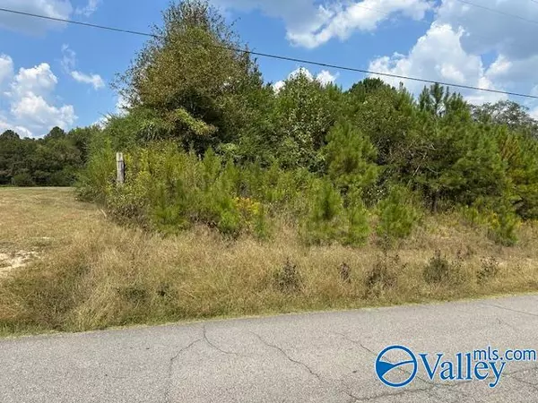 Altoona, AL 35952,10262 Fairview Cove Road