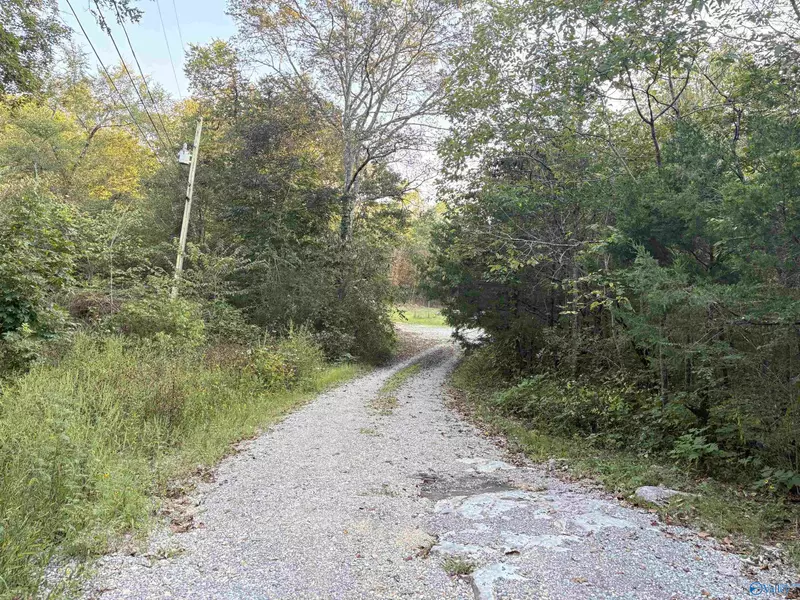 18791 Alabama Highway 35, Scottsboro, AL 35768