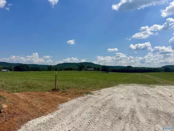 Tract A Old Memphis Pike, Tuscumbia, AL 35674