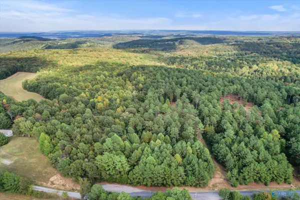 Vinemont, AL 35179,8.3 Acres Davis Gap Road