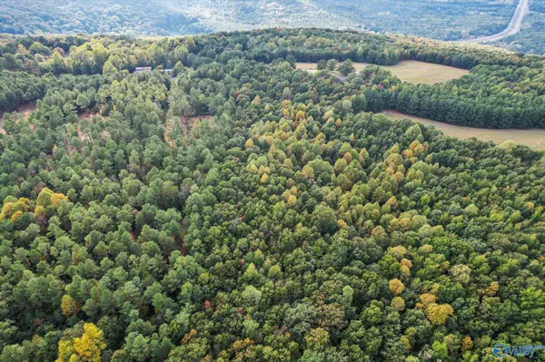 Vinemont, AL 35179,8.3 Acres Davis Gap Road