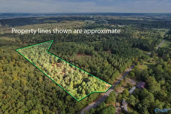 8.3 Acres Davis Gap Road, Vinemont, AL 35179