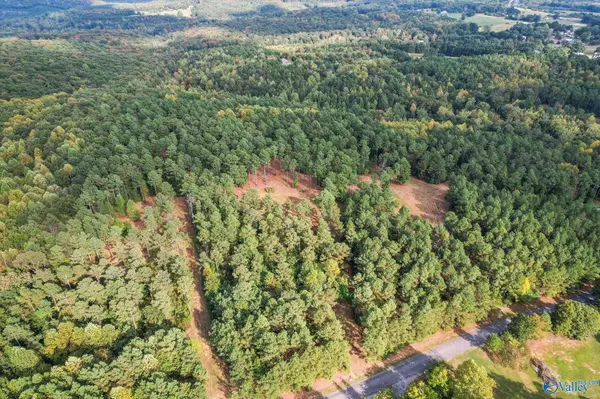 Vinemont, AL 35179,8.6 Acres Davis Gap Road
