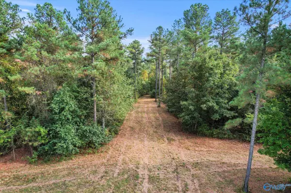 Vinemont, AL 35179,8.9 Acres Davis Gap Road