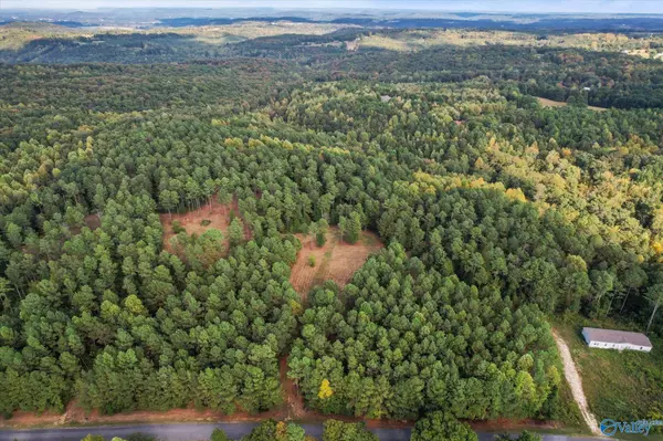 Vinemont, AL 35179,8.9 Acres Davis Gap Road