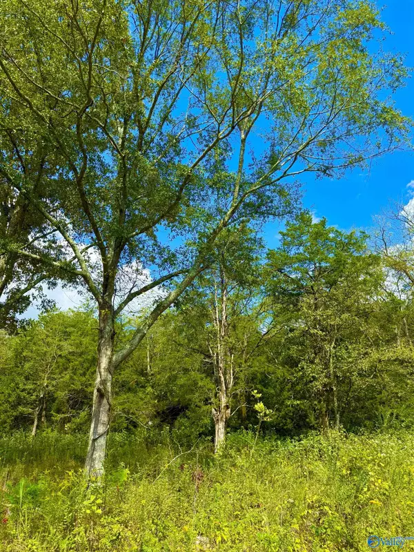 Decatur, AL 35603,158 Lyons Road