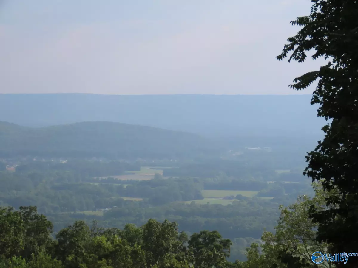 Gurley, AL 35748,787 Blowing Cave Road