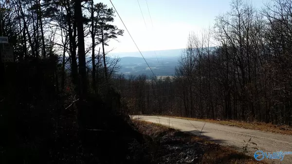 Gurley, AL 35748,787 Blowing Cave Road