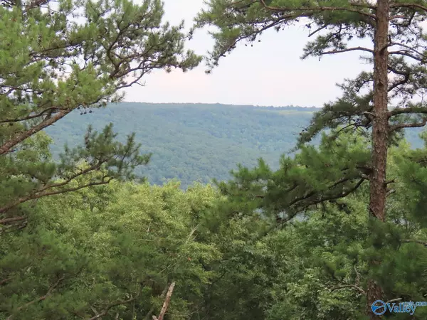 Gurley, AL 35748,787 Blowing Cave Road