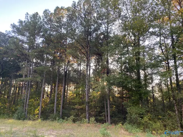 Blountsville, AL 35031,3.7 acres +/- County Highway 10