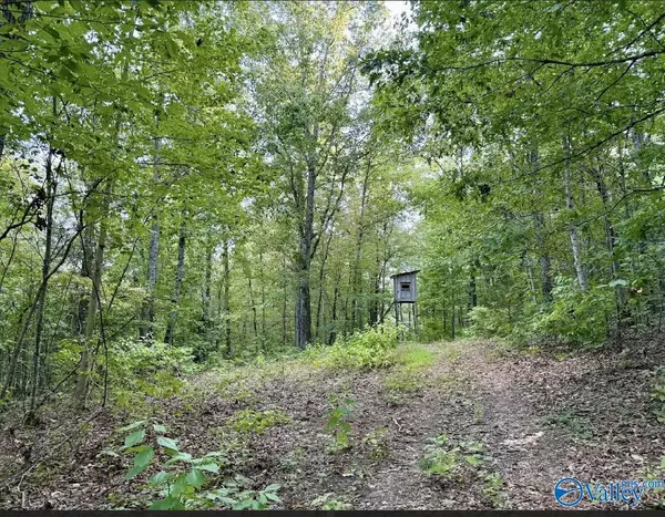 Grant, AL 35747,801 Johnson Hollow Road