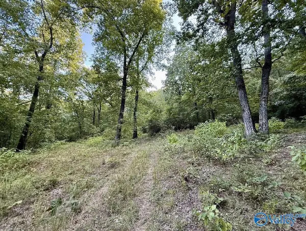 Grant, AL 35747,801 Johnson Hollow Road