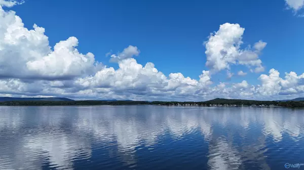 Langston, AL 35755,Tract 4 Pinewood Drive