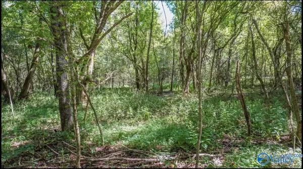 Elkmont, AL 35620,Lot 33 Rainbow Way