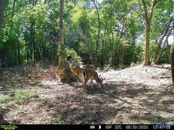 Albertville, AL 35951,225 Stone Road