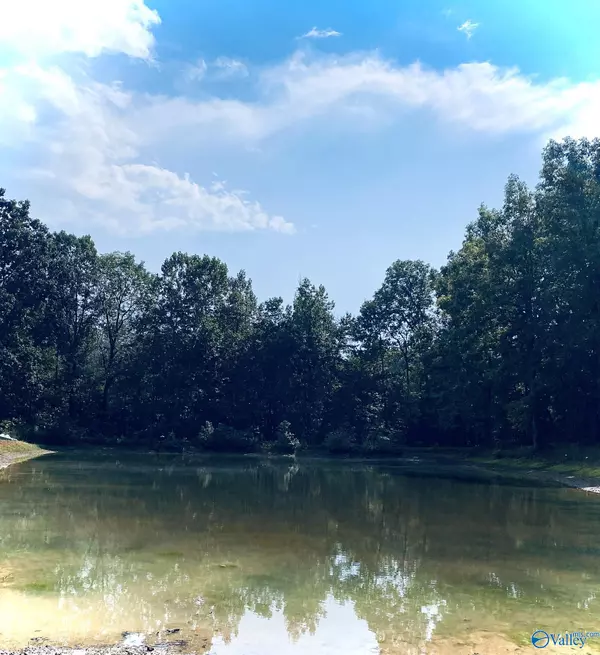 Valley Head, AL 35989,314 County Road 955