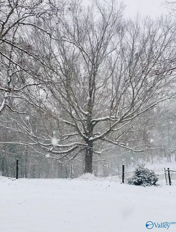 Valley Head, AL 35989,314 County Road 955