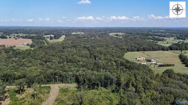 Hartselle, AL 35640,40 Acres W Targum Road