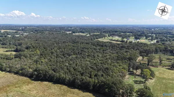 Hartselle, AL 35640,40 Acres W Targum Road