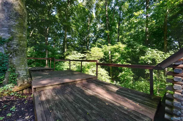 Huntsville, AL 35806,286 Springhill Road