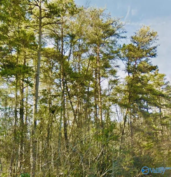 Gadsden, AL 35904,0.38 Takoma Street