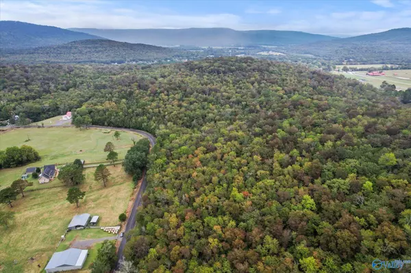 Woodville, AL 35776,18 Acres Little Arkansas Road