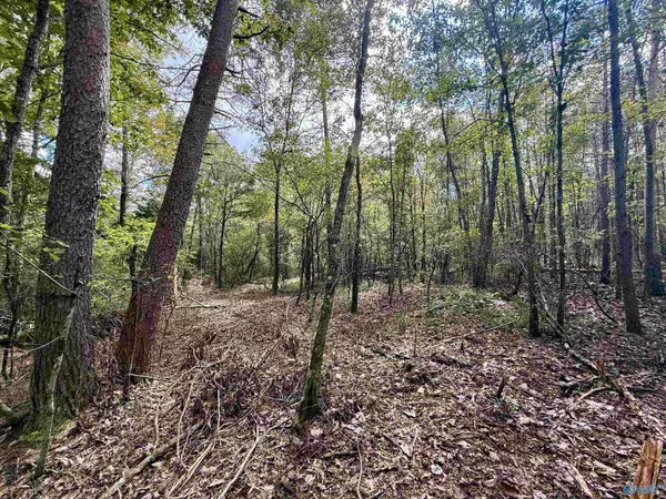 Flat Rock, AL 35966,26 Ac County Road 155
