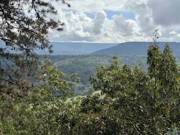 Flat Rock, AL 35966,7.48 AC County Road 155