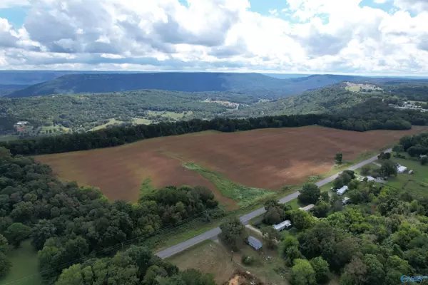 Flat Rock, AL 35966,7.48 AC County Road 155