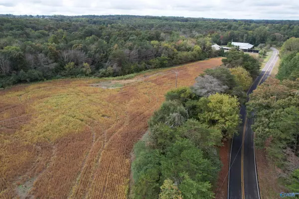 4.63 AC County Road 155, Flat Rock, AL 35966