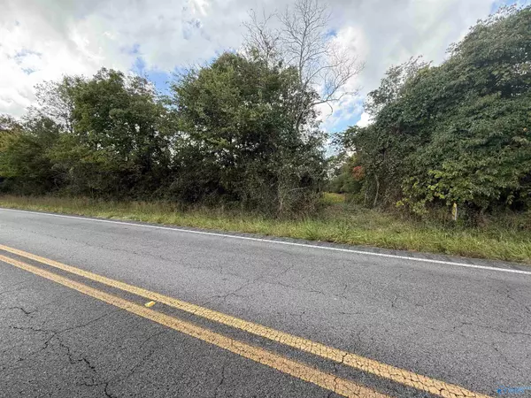 Flat Rock, AL 35966,4.63 AC County Road 155