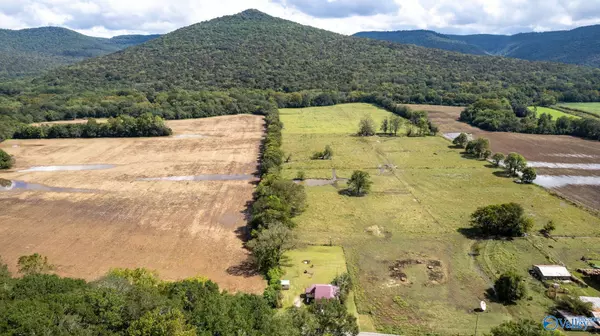 Hollytree, AL 35751,12450 Alabama Highway 65