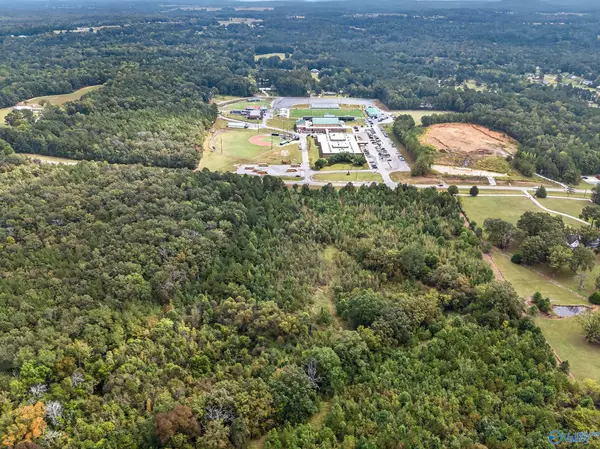 Hokes Bluff, AL 35903,23 acres Appalachian Highway