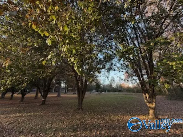 Toney, AL 35773,161 Williams Road