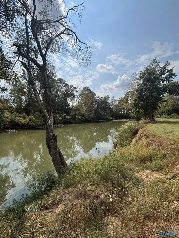 Gaylesville, AL 35973,Lot 4 Highway 68