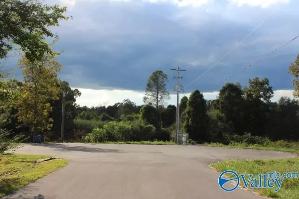 Rainsville, AL 35986,187 Peaceful Drive