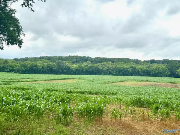 41+/- ACRES County Lake Road, Gurley, AL 35748