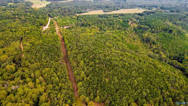 Lot 4 County Road 79, Fort Payne, AL 35967