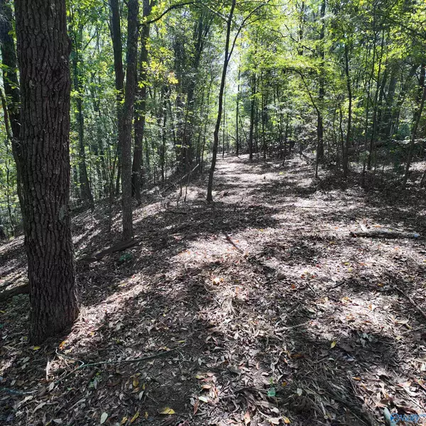 Decatur, AL 35603,4316 Danville Road SW