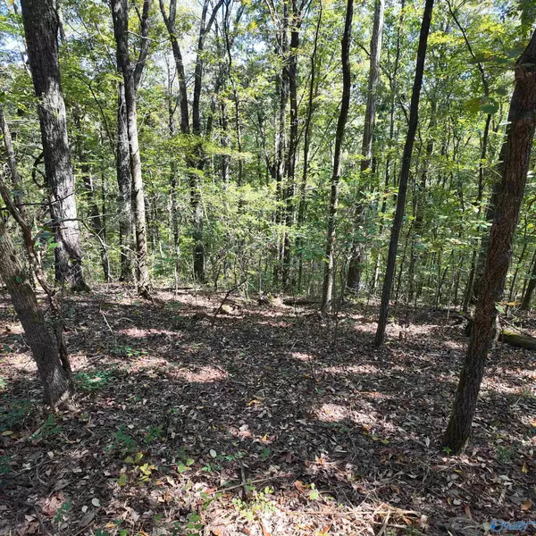 Decatur, AL 35603,4316 Danville Road SW