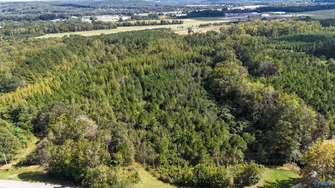 44 Acres Tall Oak Trail, Hamilton, AL 35570