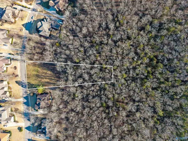 Madison, AL 35757,253 Wedgewood Terrace Road