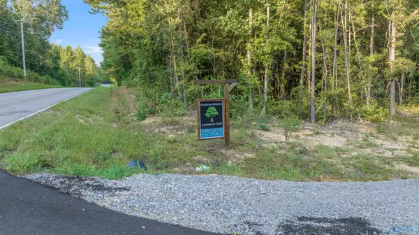 Langston, AL 35755,1.7 acres #27 South Sauty Road