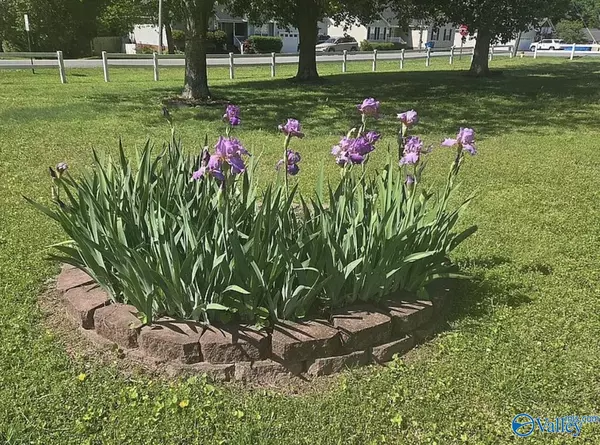 Boaz, AL 35957,1335 Mcville Road