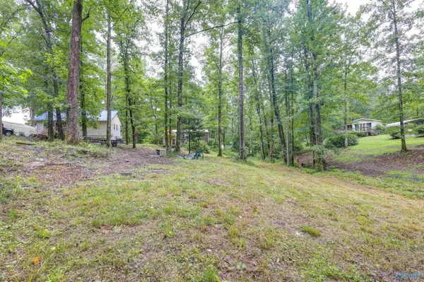 Arley, AL 35541,219 County Road 221